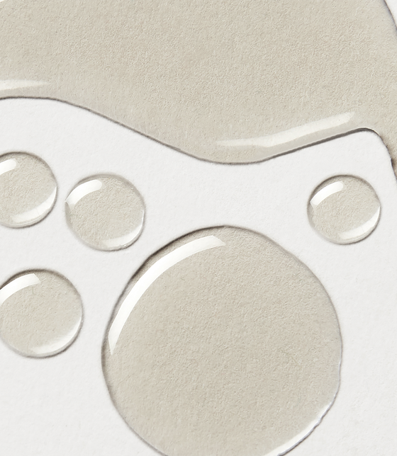 خليط زيت زهرة الكاميليا اليابانية للجسم خليط زيت زهرة الكاميليا اليابانية للجسم